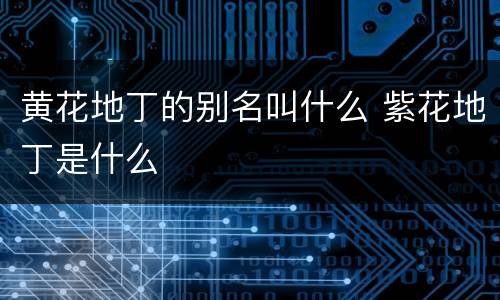 黄花地丁的别名叫什么 紫花地丁是什么