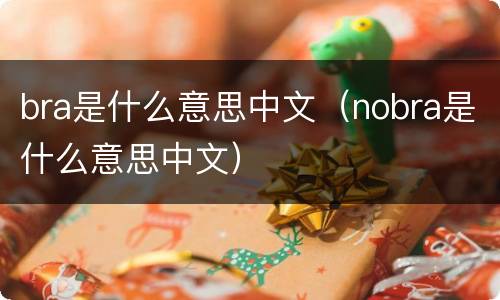 bra是什么意思中文（nobra是什么意思中文）