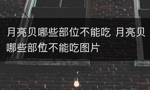 月亮贝哪些部位不能吃 月亮贝哪些部位不能吃图片