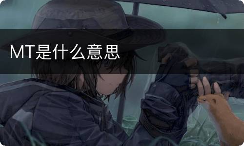 MT是什么意思