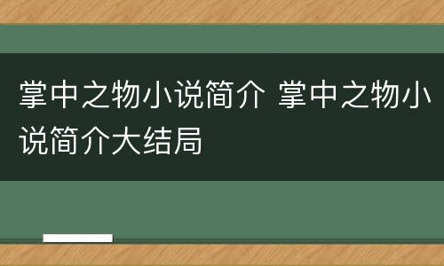 掌中之物小说简介 掌中之物小说简介大结局