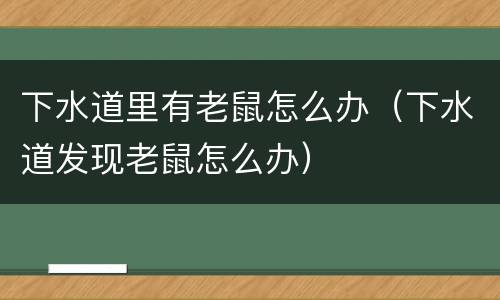 下水道里有老鼠怎么办（下水道发现老鼠怎么办）