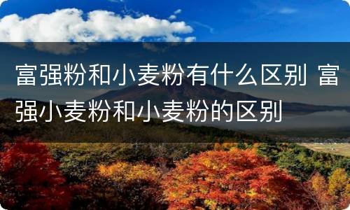 富强粉和小麦粉有什么区别 富强小麦粉和小麦粉的区别
