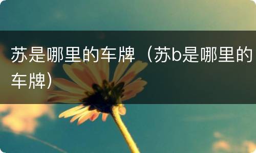 苏是哪里的车牌（苏b是哪里的车牌）