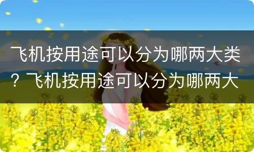 飞机按用途可以分为哪两大类? 飞机按用途可以分为哪两大类型