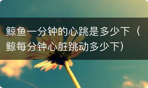 鲸鱼一分钟的心跳是多少下（鲸每分钟心脏跳动多少下）