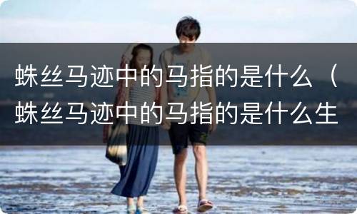 蛛丝马迹中的马指的是什么（蛛丝马迹中的马指的是什么生肖）