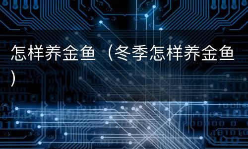 怎样养金鱼（冬季怎样养金鱼）