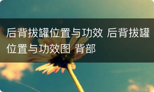 后背拔罐位置与功效 后背拔罐位置与功效图 背部