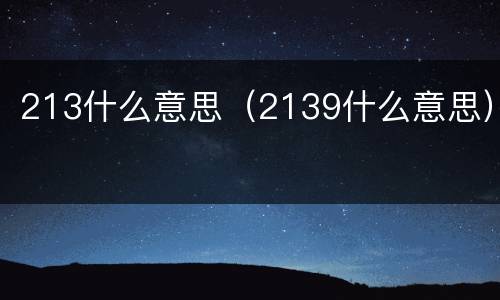 213什么意思（2139什么意思）