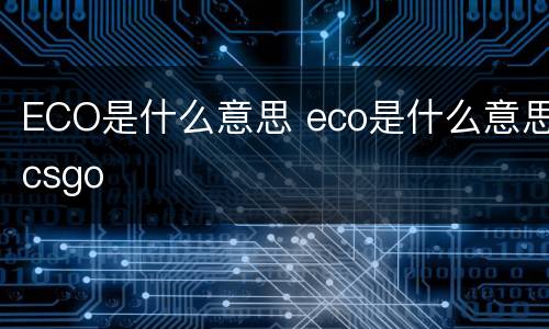 ECO是什么意思 eco是什么意思csgo