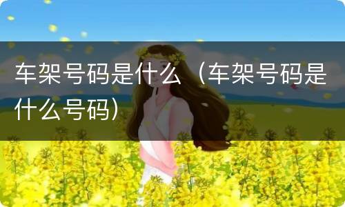 车架号码是什么（车架号码是什么号码）