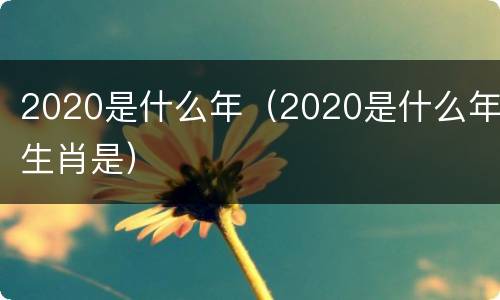 2020是什么年（2020是什么年生肖是）