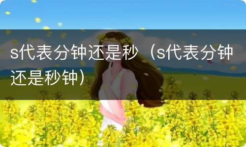 s代表分钟还是秒（s代表分钟还是秒钟）