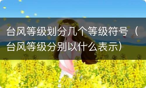 台风等级划分几个等级符号（台风等级分别以什么表示）