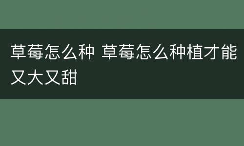 草莓怎么种 草莓怎么种植才能又大又甜