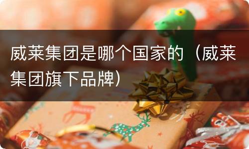 威莱集团是哪个国家的（威莱集团旗下品牌）