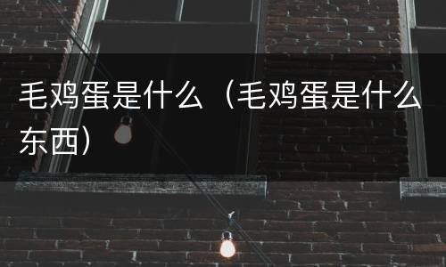 毛鸡蛋是什么（毛鸡蛋是什么东西）