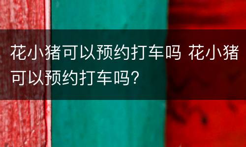 花小猪可以预约打车吗 花小猪可以预约打车吗?