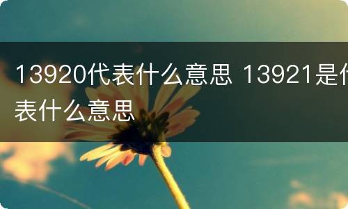 13920代表什么意思 13921是代表什么意思