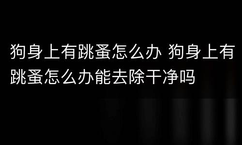 狗身上有跳蚤怎么办 狗身上有跳蚤怎么办能去除干净吗