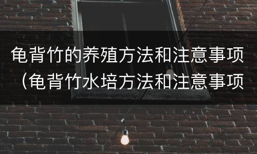 龟背竹的养殖方法和注意事项（龟背竹水培方法和注意事项）