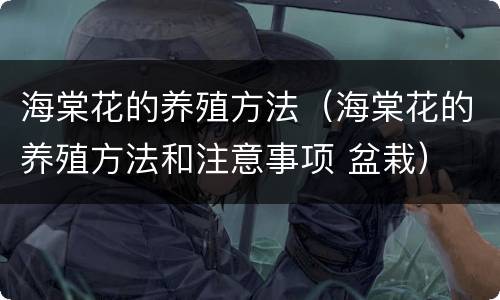 海棠花的养殖方法（海棠花的养殖方法和注意事项 盆栽）