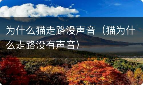 为什么猫走路没声音（猫为什么走路没有声音）