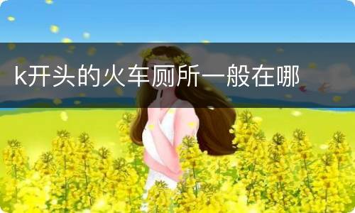 k开头的火车厕所一般在哪