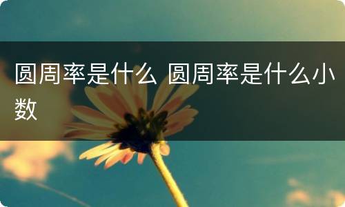 圆周率是什么 圆周率是什么小数