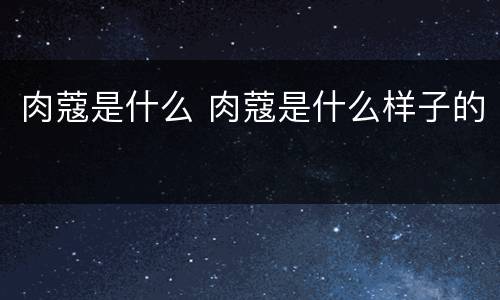 肉蔻是什么 肉蔻是什么样子的