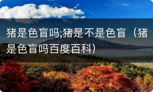 猪是色盲吗;猪是不是色盲（猪是色盲吗百度百科）
