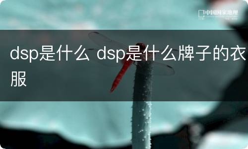 dsp是什么 dsp是什么牌子的衣服