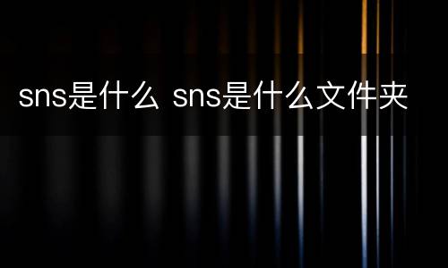 sns是什么 sns是什么文件夹
