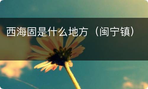 西海固是什么地方（闽宁镇）