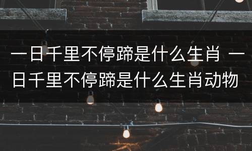 一日千里不停蹄是什么生肖 一日千里不停蹄是什么生肖动物