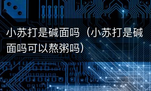 小苏打是碱面吗（小苏打是碱面吗可以熬粥吗）
