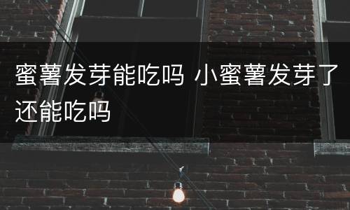 蜜薯发芽能吃吗 小蜜薯发芽了还能吃吗