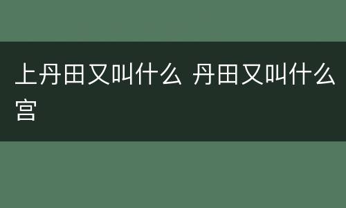 上丹田又叫什么 丹田又叫什么宫