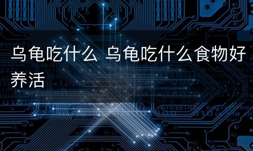 乌龟吃什么 乌龟吃什么食物好养活
