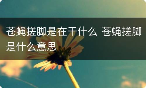 苍蝇搓脚是在干什么 苍蝇搓脚是什么意思