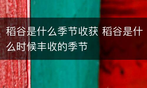 稻谷是什么季节收获 稻谷是什么时候丰收的季节