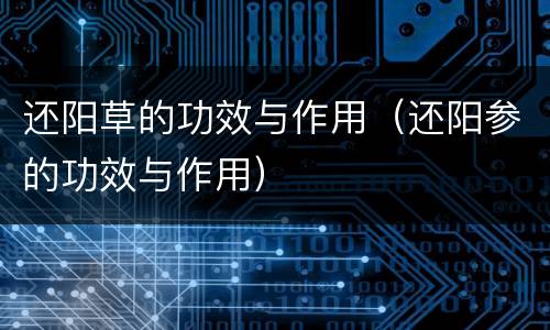 还阳草的功效与作用（还阳参的功效与作用）