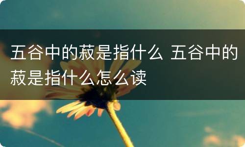 五谷中的菽是指什么 五谷中的菽是指什么怎么读