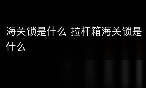 海关锁是什么 拉杆箱海关锁是什么