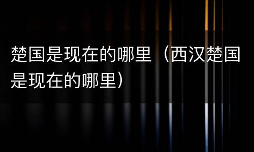 楚国是现在的哪里（西汉楚国是现在的哪里）