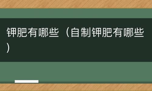 钾肥有哪些（自制钾肥有哪些）