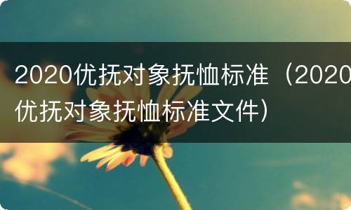 2020优抚对象抚恤标准（2020优抚对象抚恤标准文件）