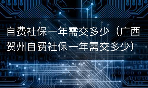 自费社保一年需交多少（广西贺州自费社保一年需交多少）