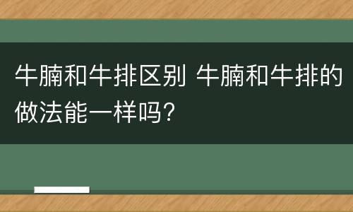 牛腩和牛排区别 牛腩和牛排的做法能一样吗?